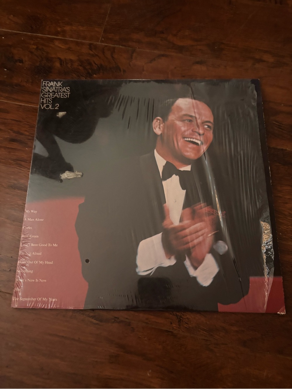 & Other Stories Black and Red Frank Sinatra Album Cover Art